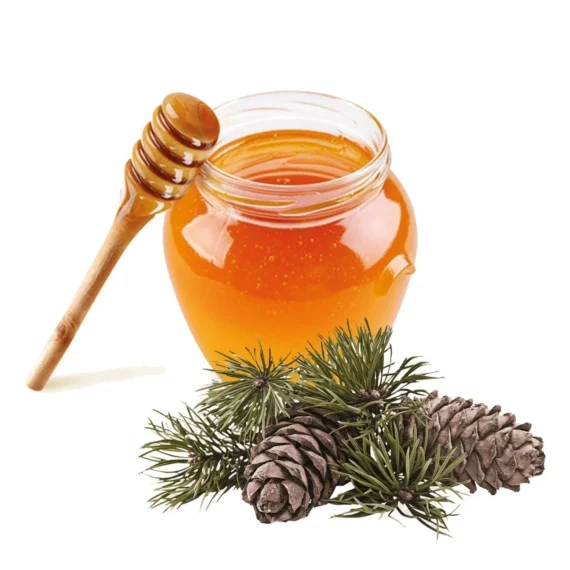 Çam Balı 850 Gr